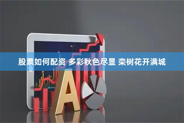 股票如何配资 多彩秋色尽显 栾树花开满城