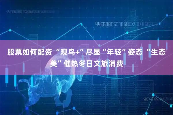 股票如何配资 “观鸟+”尽显“年轻”姿态 “生态美”催热冬日文旅消费