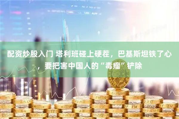 配资炒股入门 塔利班碰上硬茬，巴基斯坦铁了心，要把害中国人的“毒瘤”铲除